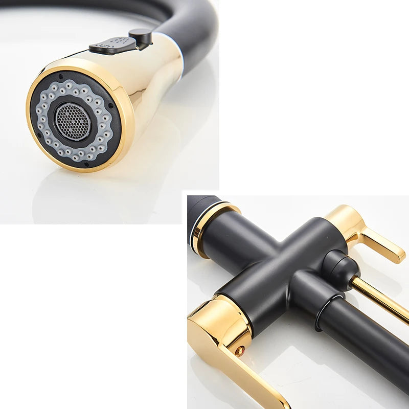 Torneira Atenas Gourmet Dupla Função Monocomando com Filtro